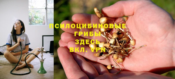 а пвп мука Алзамай