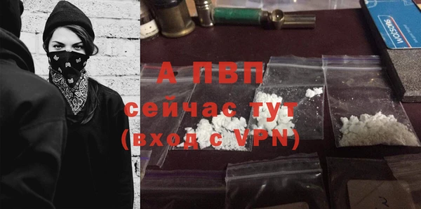 стаф Пролетарск